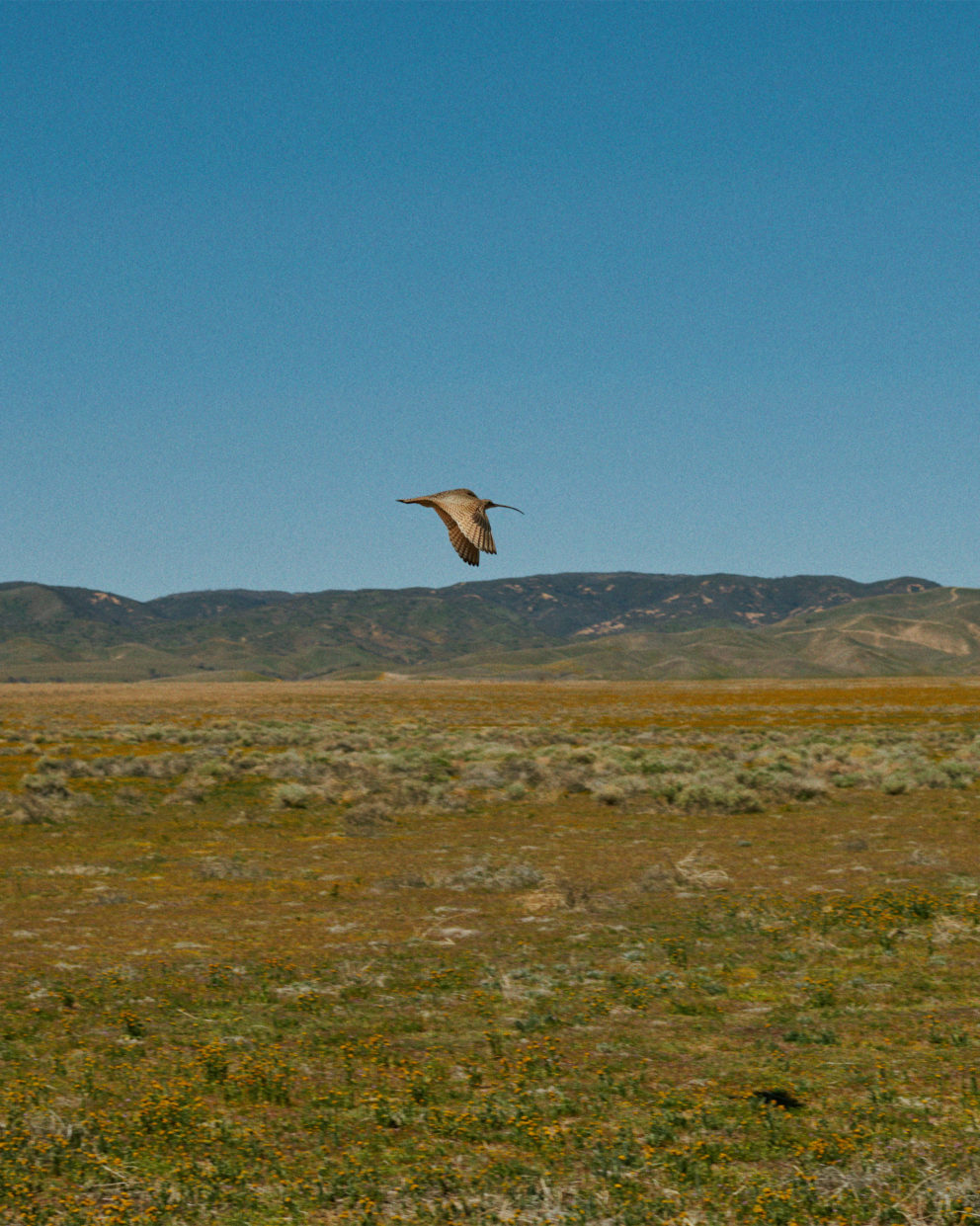 220323 0060 Fredatlast 026 By Christian Hogstedt